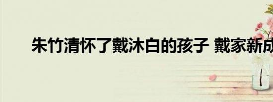 朱竹清怀了戴沐白的孩子 戴家新成员