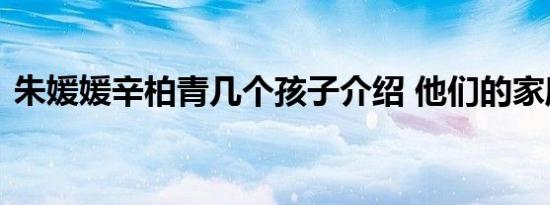 朱媛媛辛柏青几个孩子介绍 他们的家庭生活