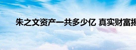 朱之文资产一共多少亿 真实财富揭秘