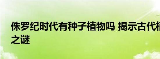 侏罗纪时代有种子植物吗 揭示古代植物演化之谜