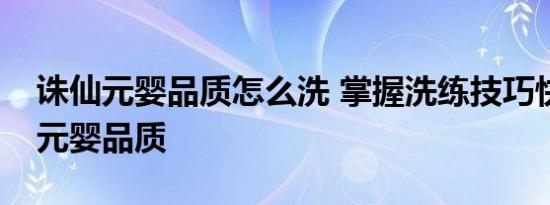 诛仙元婴品质怎么洗 掌握洗练技巧快速提升元婴品质