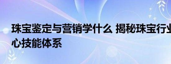 珠宝鉴定与营销学什么 揭秘珠宝行业的双核心技能体系