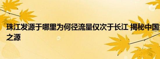 鼻子有几种类型