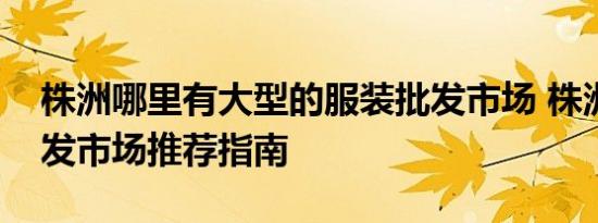 株洲哪里有大型的服装批发市场 株洲服装批发市场推荐指南