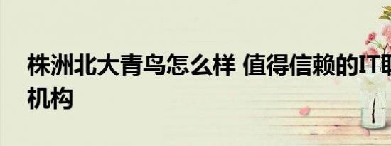开发者选项怎么设置最流畅
