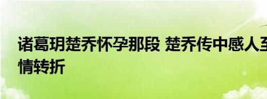诸葛玥楚乔怀孕那段 楚乔传中感人至深的亲情转折