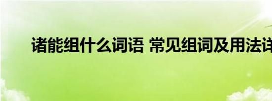 诸能组什么词语 常见组词及用法详解