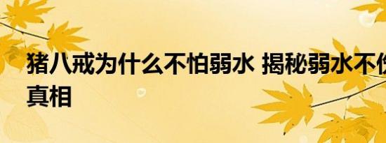 猪八戒为什么不怕弱水 揭秘弱水不伤八戒的真相