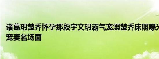 诸葛玥楚乔怀孕那段宇文玥霸气宠溺楚乔床照曝光 霸道总裁宠妻名场面