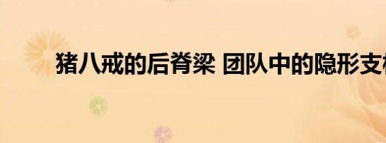 猪八戒的后脊梁 团队中的隐形支柱