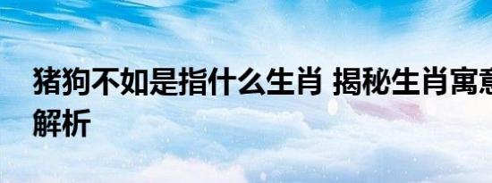 猪狗不如是指什么生肖 揭秘生肖寓意与成语解析