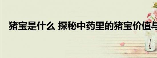 猪宝是什么 探秘中药里的猪宝价值与由来