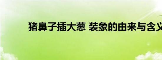 猪鼻子插大葱 装象的由来与含义