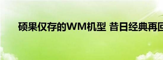 硕果仅存的WM机型 昔日经典再回顾