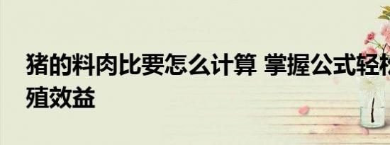 猪的料肉比要怎么计算 掌握公式轻松算出养殖效益