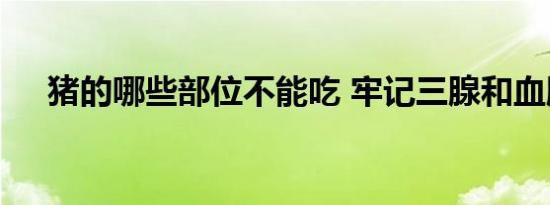 猪的哪些部位不能吃 牢记三腺和血脖肉