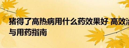 猪得了高热病用什么药效果好 高效治疗方案与用药指南