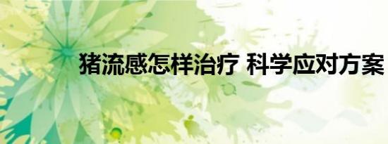 猪流感怎样治疗 科学应对方案