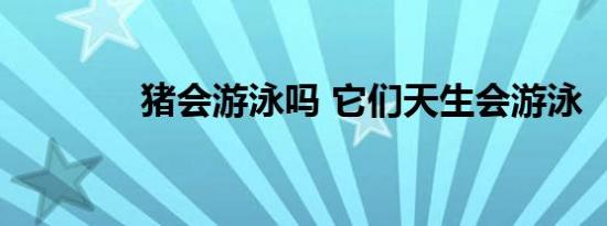 猪会游泳吗 它们天生会游泳