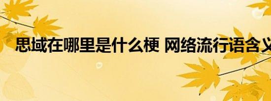 思域在哪里是什么梗 网络流行语含义解析