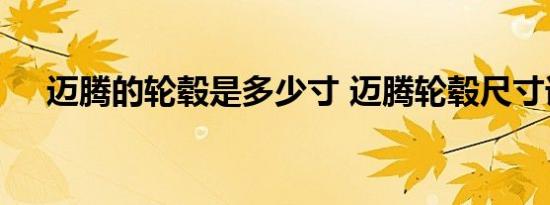 迈腾的轮毂是多少寸 迈腾轮毂尺寸详解