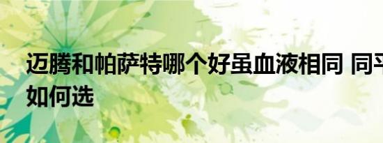 迈腾和帕萨特哪个好虽血液相同 同平台兄弟如何选