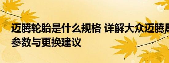 迈腾轮胎是什么规格 详解大众迈腾原厂轮胎参数与更换建议