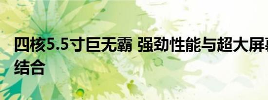 四核5.5寸巨无霸 强劲性能与超大屏幕的完美结合